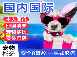 白塔空运代理国际宠物托运 【国